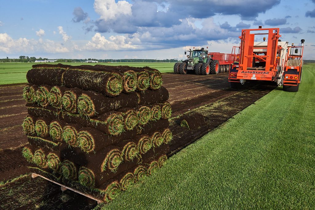 Close up of Cheshire turf